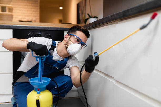 Best Pest Control Near Me in Edwardsville, KS
