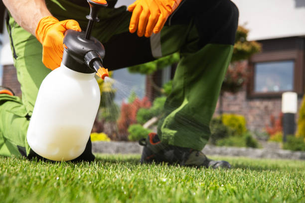 Bird Control in Edwardsville, KS