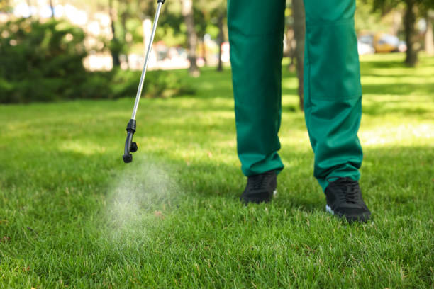 Wasp Removal Services in Edwardsville, KS