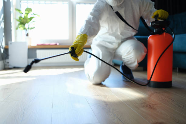 Wasp Removal Services in Edwardsville, KS