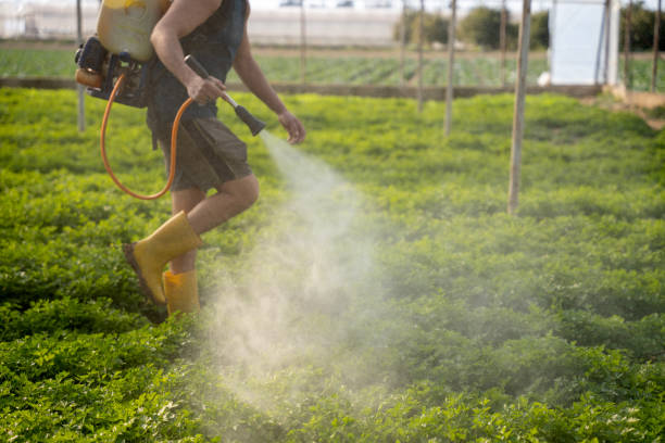 Best Mosquito Control Services  in Edwardsville, KS