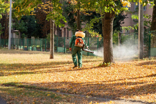 Best Rat Extermination Near Me  in Edwardsville, KS