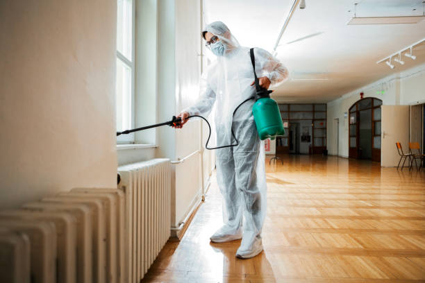 Flea Control Services in Edwardsville, KS